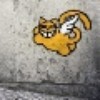 flying cat